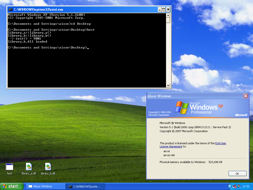 Example NtMapViewOfSection hook code running on Windows XP